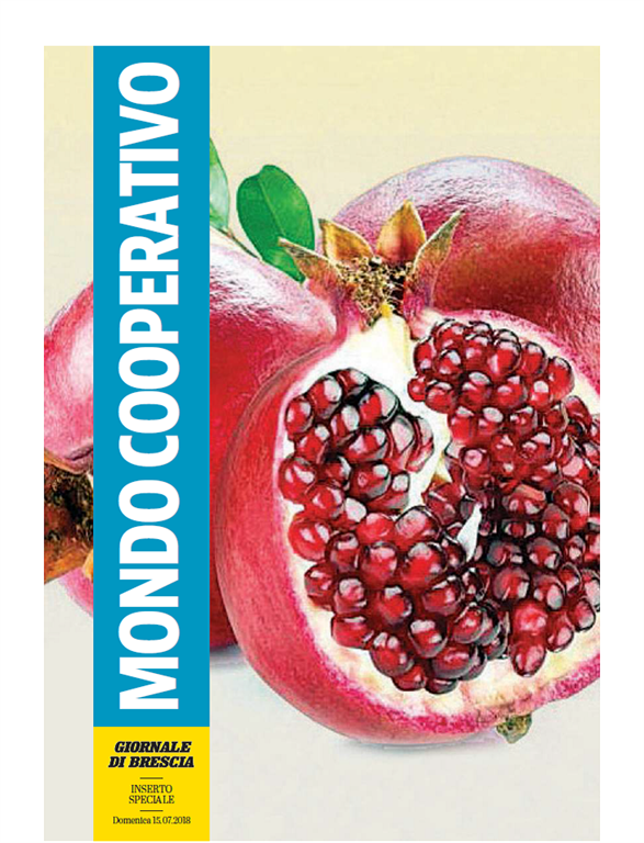 Mondo Cooperativo