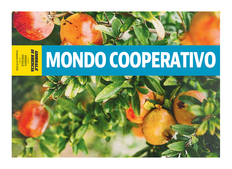 Dossier "Mondo Cooperativo"