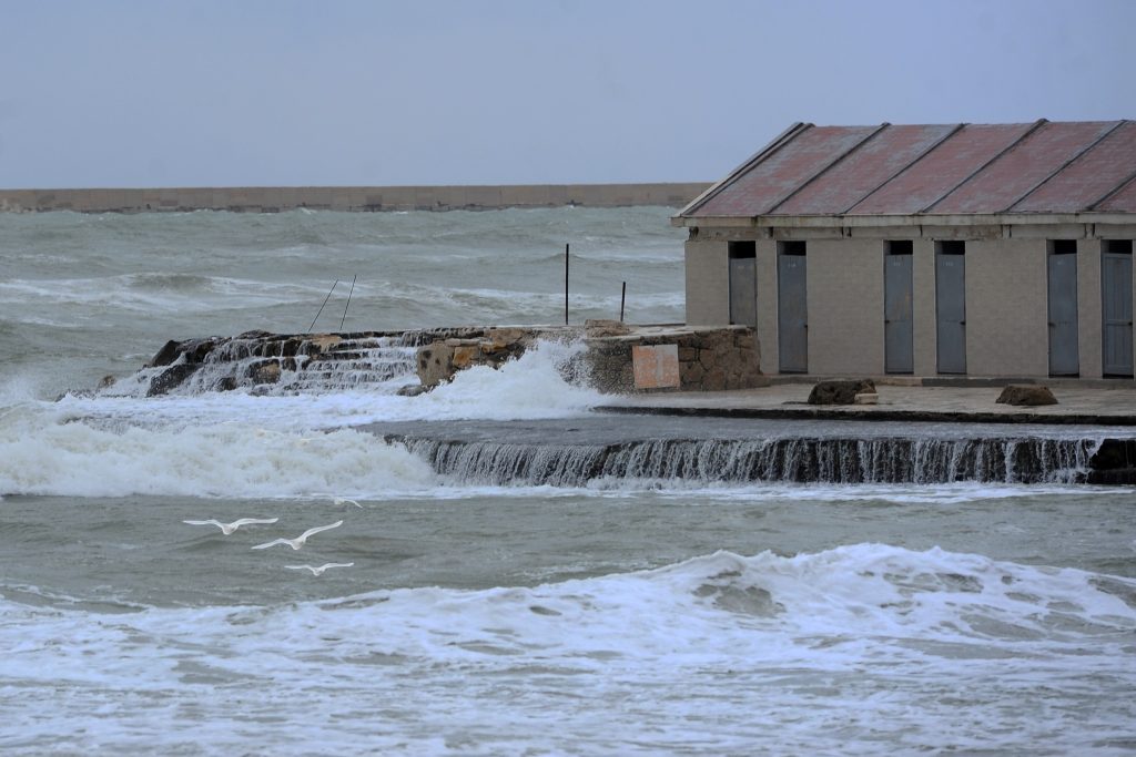 23 gennaio – I disastri ambientali bruciano 210 MLD.