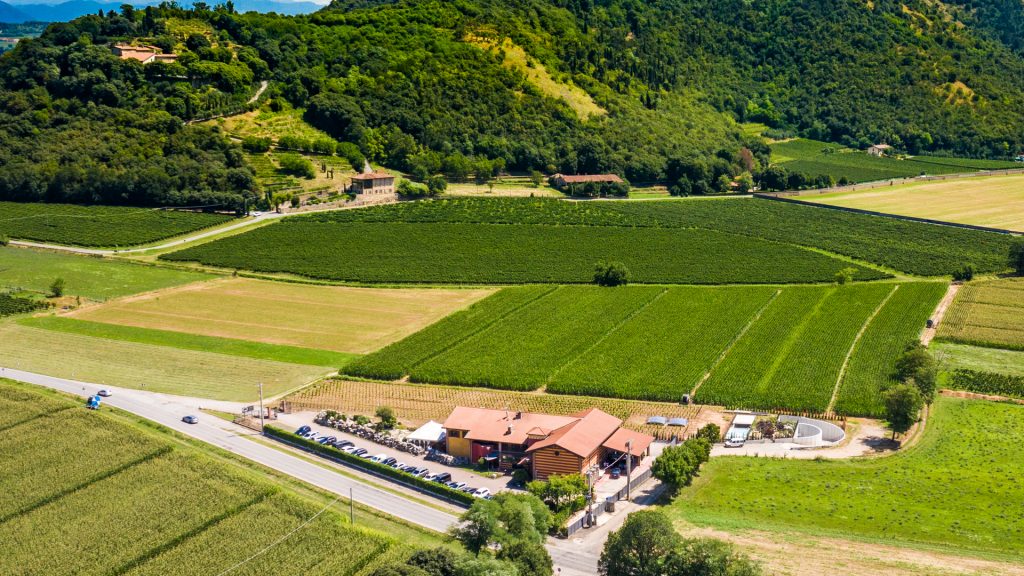 La Cooperativa Vitivinicola Cellatica Gussago compie 75 anni e inaugura la nuova cantina